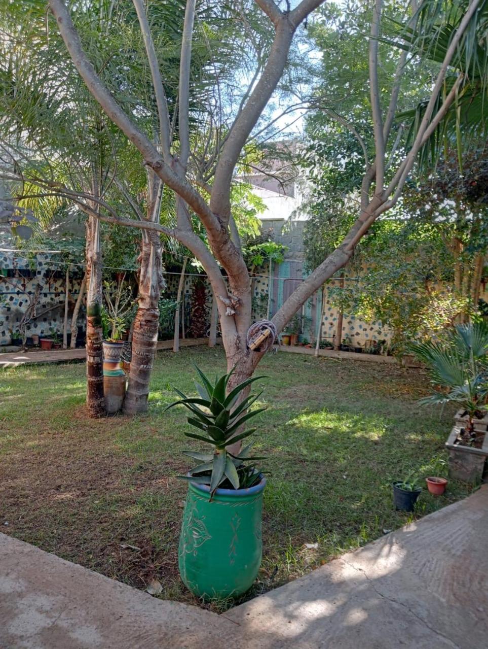 Sidi Bibi Riad Targante Takate 1 מראה חיצוני תמונה