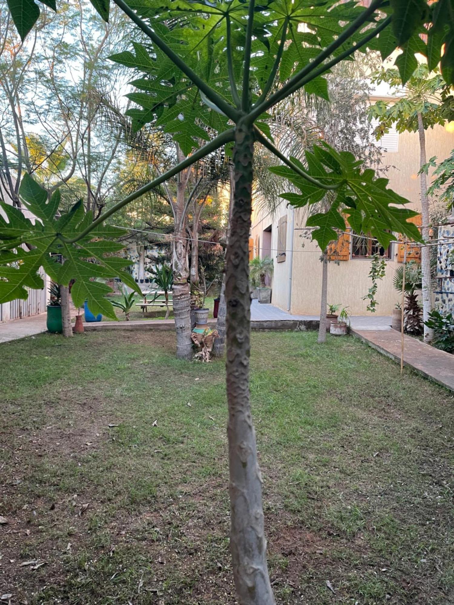Sidi Bibi Riad Targante Takate 1 מראה חיצוני תמונה
