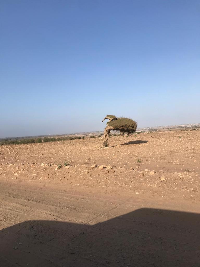 Sidi Bibi Riad Targante Takate 1 מראה חיצוני תמונה